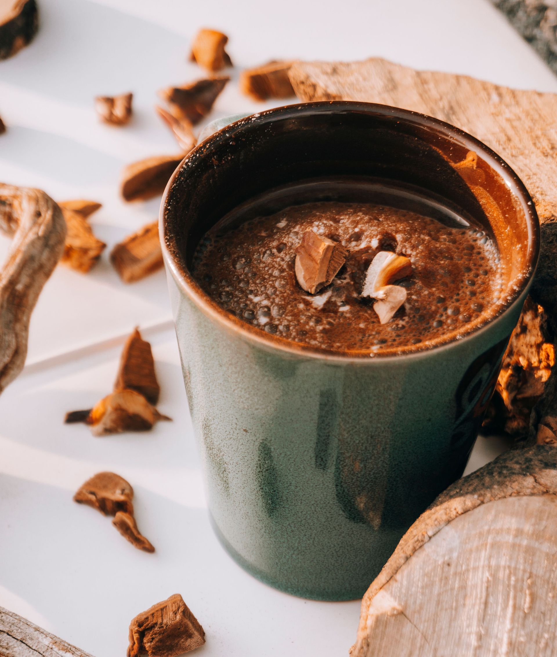 Top view of a hot drink infused with reishi mushrooms, surrounded by wood and bark pieces on a white surface.